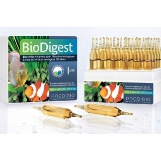 Prodibio BioDigest - гиперконцентрированный бактериальный препарат, 30 ампул.