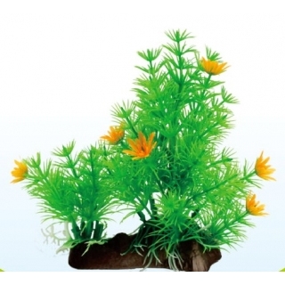 Аквариумное растение с оранжевыми цветами 20см