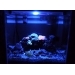 Aquael Moonlight LED ночное освещение в аквариуме