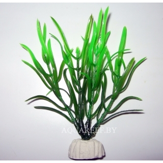 Аквариумное растение "Эхинодорус", пластик, 10см