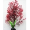 Горгонария красная 30 см
