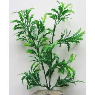Аквариумное растение 20 см