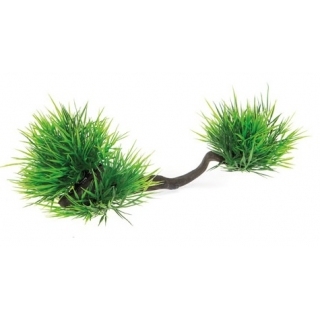 Растение на корне Aquael 23×10×9 см
