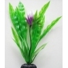Апоногетон курчавый 30 см