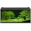 Аквариум EHEIM aquapro LED 180 л, чёрный