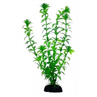 Аквариумное растение 20 см 