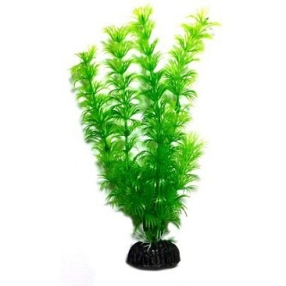 Аквариумное растение 20 см 