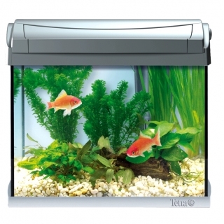 Tetra AquaArt LED Goldfish аквариум на 20 литров