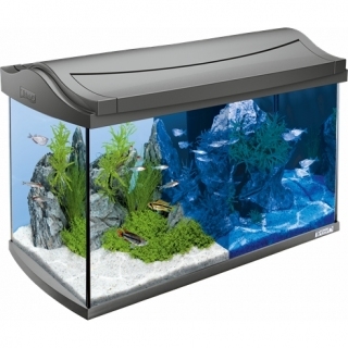 Tetra AguaArt Discovery LED Aquarium аквариум на 60 литров 