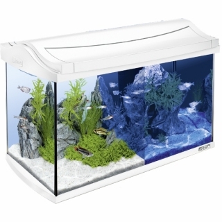 Tetra AguaArt LED Aquarium аквариум на 60 литров 