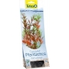 Tetra DecoArt Plant M Red Ludwigia- Людвигия 23 см