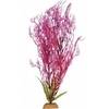 Горгонария сиреневая 30 см